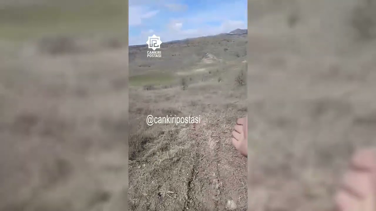 Çiftçiden elektrik dağıtım firmasının yol açtığı tarla zararına tepki