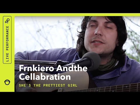 Shes The Prettiest Girl At The Party And She Can Prove It With A Solid Right Hook - Frnkiero And The Cellabration