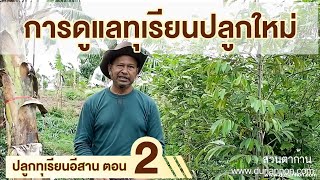 ปลูกทุเรียนอย่างไร..ในภาคอีสาน ตอนที่ 2 ปลูกทุเรียนอย่างไร..ในภาคอีสาน ตอนที่ 2