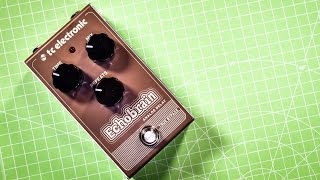Video thumbnail for TC Electronic ECHOBRAIN (Analog Delay) - in depth review by EytschPi42
