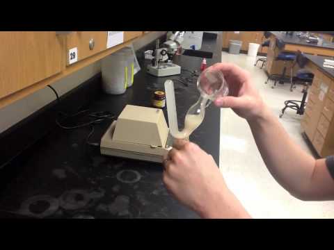 Lab Protocol - Fermentation in Yeast (Unit 9 Respiration)