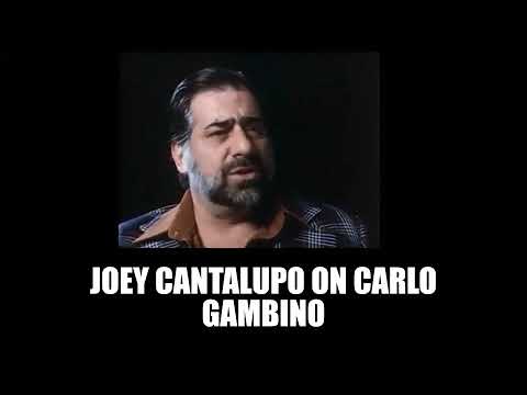 Carlo Gambino Untouchable