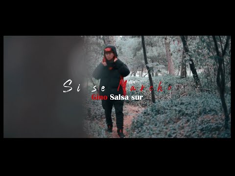 Si Se Marcho Gino Salsa Sur #sisemarchosinunadios