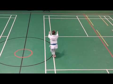 Demonstration of Kata Unsu- Shotokan (HD Quality)