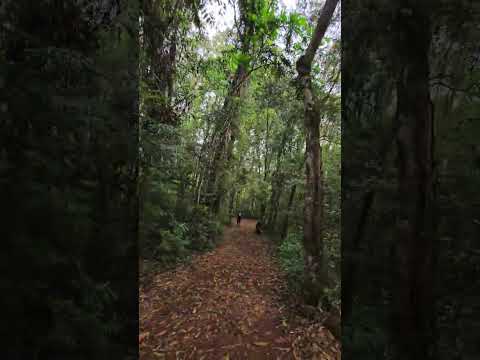 O Rio Mourão é um curso de água que atravessa o município de Campo Mourão, no Paraná, no #shorts