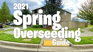 How To OVERSEED your lawn in SPRING ~2021 Step by Step Guide ~ Easy process with AMAZING RESULTS!!!