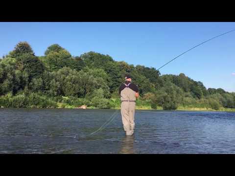 Spey Casting practice - Ventus DH Nano 13'0" #8/9 6-piece (slow motion)