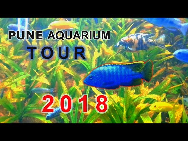 TOUR TO PUNE AQUARIUM | 2018