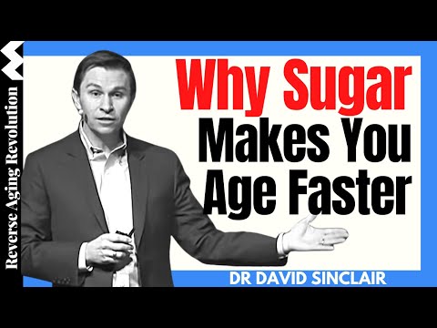 WHY SUGAR Makes You AGE FASTER? | Dr David Sinclair Interview Clips