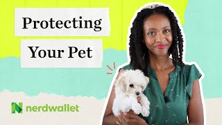 Is Pet Insurance Really Worth it? | NerdWallet