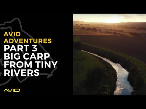 Avid Carp Fishing TV! | Avid Adventures | Vol.03 | Big Carp From Tiny Rivers