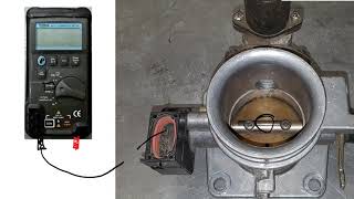 Throttle Position Sensor Testing