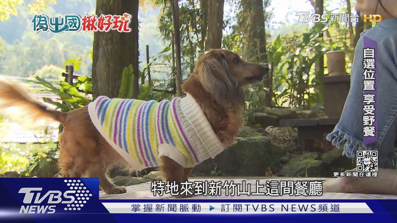 毛孩放風趣!森林野餐吸收芬多精 腳印手拉坏製造專屬碗盤