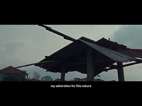 Nature | cinematic short video