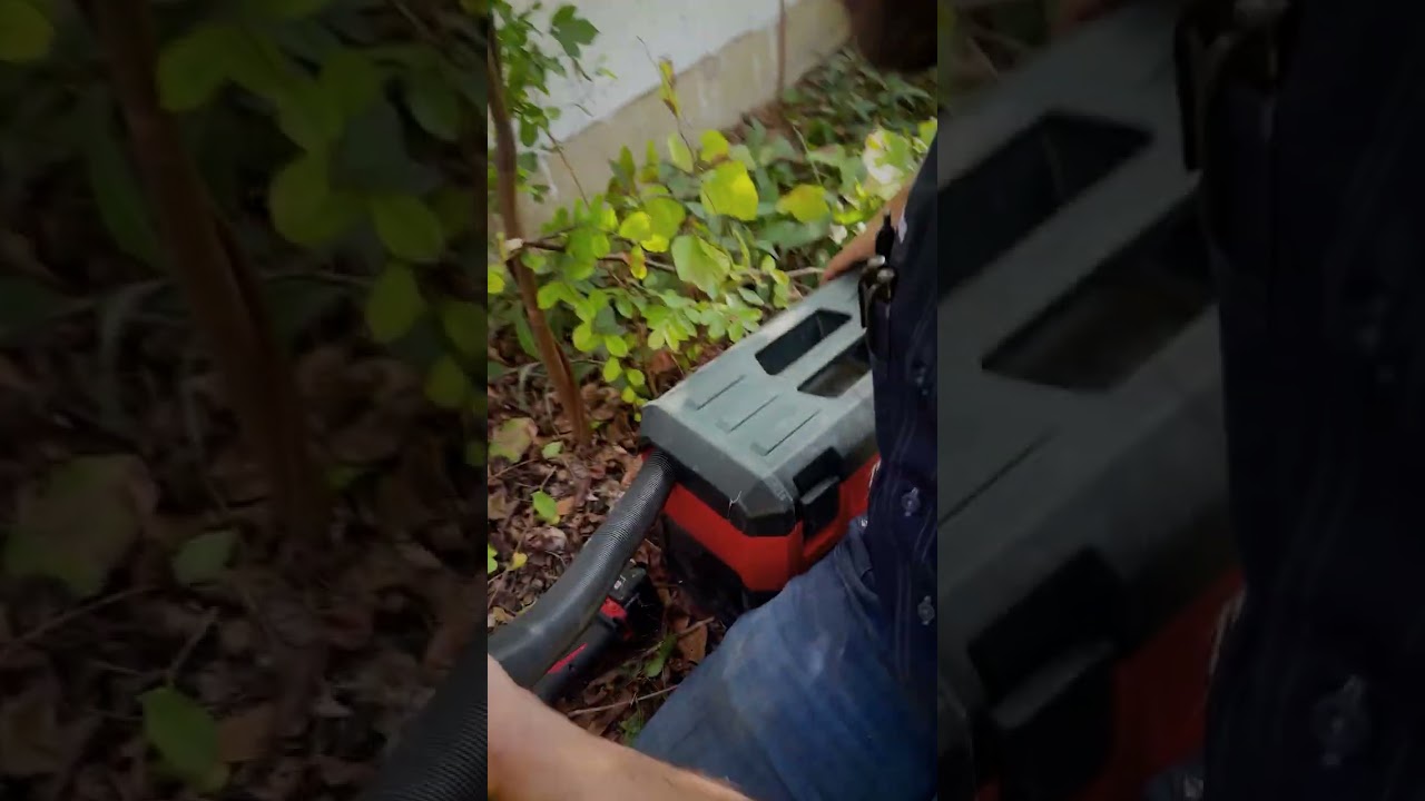 The Spider Didn’t Pay Rent