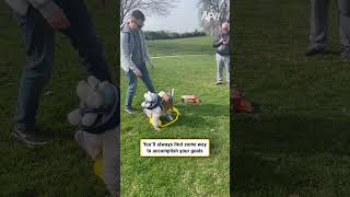 You'll always find some way to accomplish your goals