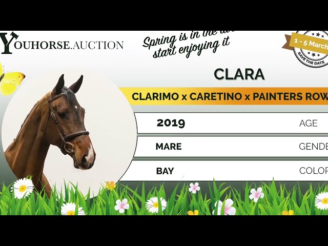 Clara trainingsvideo