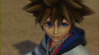 Strangers Like Me - Everlife - Kingdom Hearts