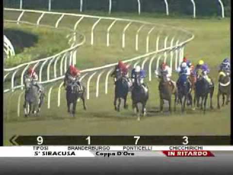 16/01/2011, Siracusa , Premio Coppa D Oro Di Siracusa