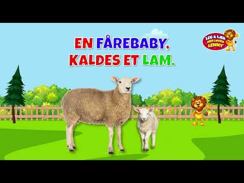 Dyr og deres søde unger: Sjov børnevideo om dyrebørn