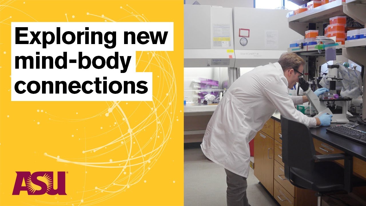 Body and Mind: Catalyst