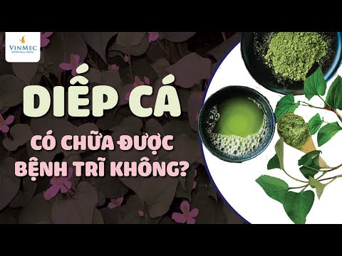 , title : 'Rau diếp cá chữa bệnh trĩ như thế nào?'