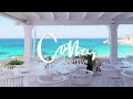 Cotton Beach Club Ibiza @ Cala Tarida (Official)