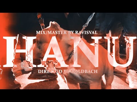 Petre Stefan - HANU (official video)