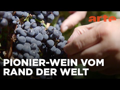 Patagonien: Weinbau am Ende der Welt | Die wunderbare Welt der Weine | ARTE Fernweh