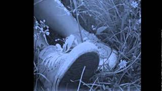 Bài hát The One About Indifference - Nghệ sĩ trình bày He Is We