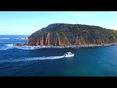 Cape Woolamai Cruise - Phillip Island - Wildlife Coast Cruises