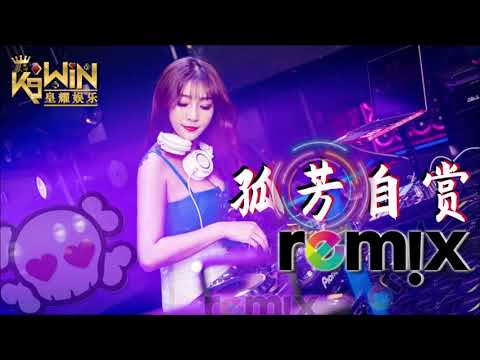 杨小壮 - 孤芳自赏【DJ REMIX 舞曲】Ft. K9win 抖音热爆