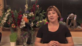 Gardening Tips & Tricks : How to Control Pigeons in the Attic