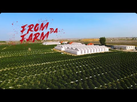Test “ From Da Farm “ (Official Video)