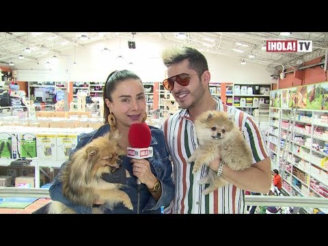 Johana Fadul y Juan Sebastián Quintero presentan a sus mascotas como parte de su familia | ¡HOLA! TV