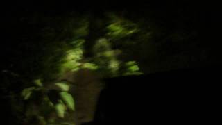 preview picture of video 'Night Safari at Sitavani.MP4'