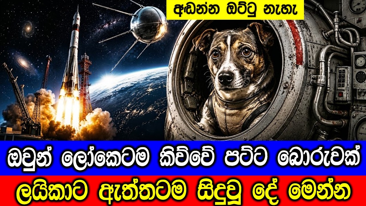 පළමුව අභ්‍යවකාශයට ගිය ලයිකාට ඇත්තටම සිදුවූදේ මෙන්න. 