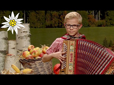 Gruß aus Bärnbach | Bernd Gaugl (Steirischer Harmonikawettbewerb 2016)