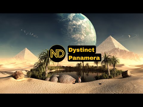 Dystinct - Panamera (Remix)