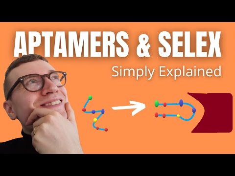 Aptamers and SELEX Simply Explained