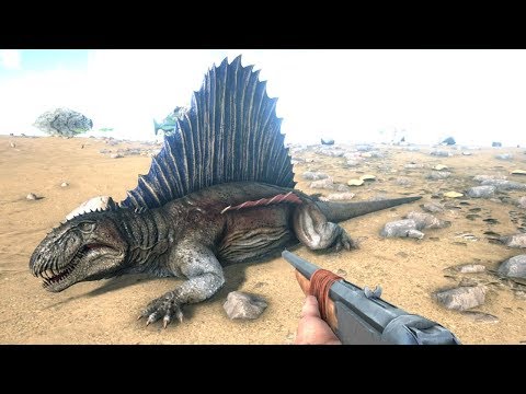 10 Amazing Facts About The DIMETRODON