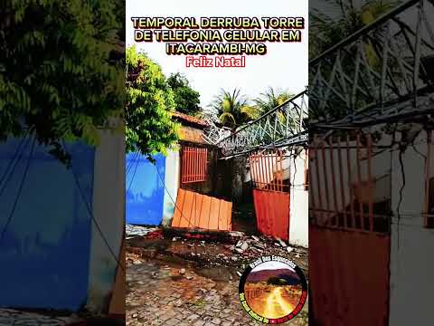 ZÉCA MATUTO DA SELVA EM TORRE CAI COM TEMPORAL EM ITACARAMBI-MG+BRAZIL #vidanosertão