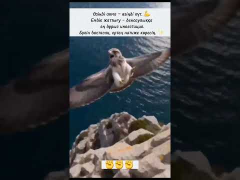 23 апреля 2026 г.