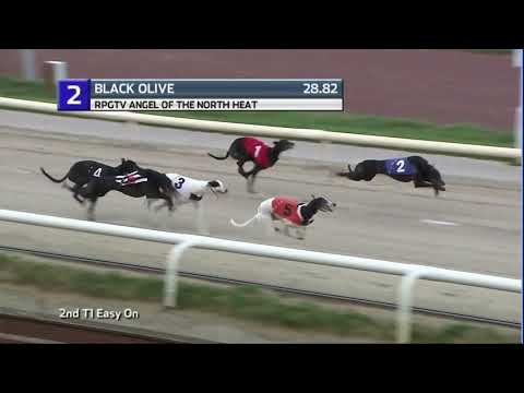 2020 ANGEL OF THE NORTH - HEAT 1 - T2 BLACK OLIVE