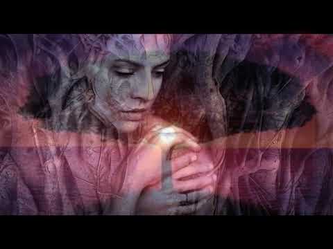 Fantasiereise zu deinem Lebensbaum