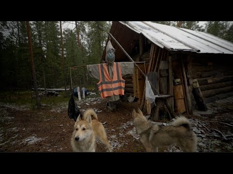 Живем в тайге 2. Питаемся добытым , ловим  медведя хулигана. Добыли ....