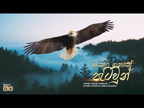 ඔසවා යනසේ පැටවුන් | Amila Rasanga | Mount Zion | Osawa Yanase Patawun