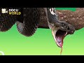 The Dark Side Of Nature Terrifying Encounters With Deadly Creatures Wild Ones