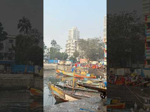 Fish market | Morning View |#mumbai #ytshortsindia #india #famousshorts #viralshorts #koliwada #fish