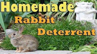 Homemade Wild Rabbit Deterrent